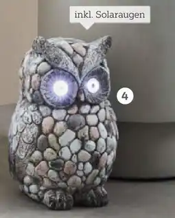 XXXLutz Deko-eule Angebot