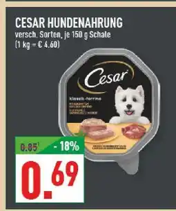 Marktkauf Cesar hundenahrung Angebot