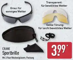 Aldi Nord CRANE Sportbrille Angebot