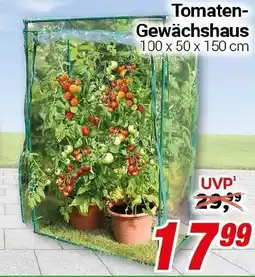 CENTERSHOP Tomaten Gewächshaus Angebot
