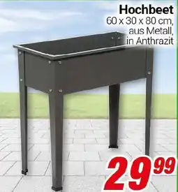 CENTERSHOP Hochbeet Angebot