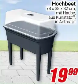 CENTERSHOP Hochbeet Angebot