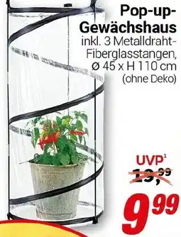 CENTERSHOP Pop-up Gewächshaus Angebot