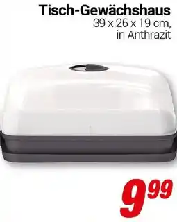 CENTERSHOP Tisch-Gewächshaus Angebot
