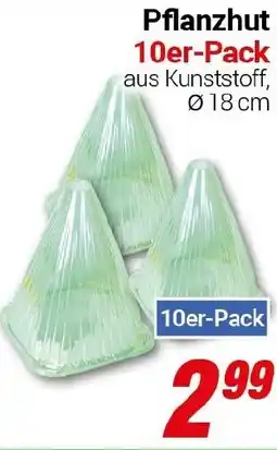 CENTERSHOP Pflanzhut Angebot