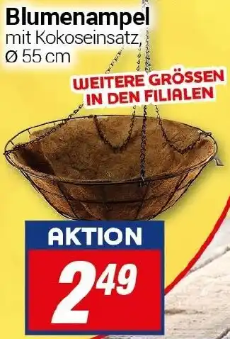 CENTERSHOP Blumenampel Angebot