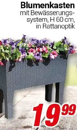CENTERSHOP Blumenkasten Angebot