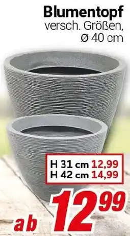CENTERSHOP Blumentopf Angebot