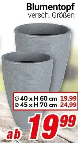CENTERSHOP Blumentopf Angebot