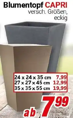 CENTERSHOP Blumentopf CAPRI Angebot