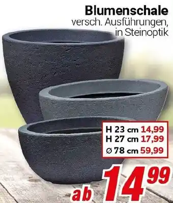 CENTERSHOP Blumenschale Angebot