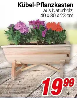 CENTERSHOP Kübel-Pflanzkasten Angebot