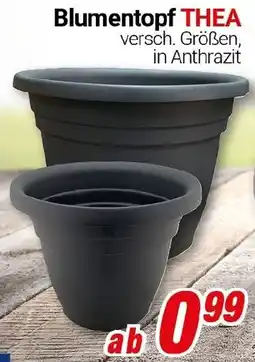 CENTERSHOP Blumentopf THEA Angebot