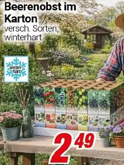 CENTERSHOP Beerenobst im Karton Angebot