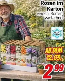 CENTERSHOP Rosen im Karton Angebot