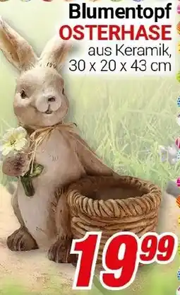 CENTERSHOP Blumentopf OSTERHASE Angebot