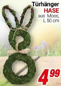 CENTERSHOP Türhänger HASE Angebot