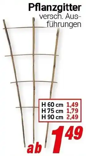 CENTERSHOP Pflanzgitter Angebot