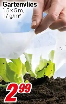 CENTERSHOP Gartenvlies Angebot