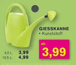 KODi GIESSKANNE Angebot