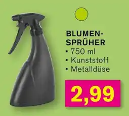 KODi BLUMEN- SPRÜHER Angebot
