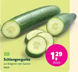 Biomarkt Schlangengurke Angebot