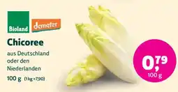 Biomarkt Chicoree Angebot