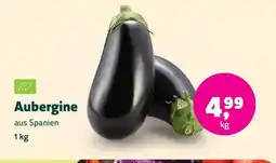 Biomarkt Aubergine Angebot