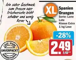 HIT Spanien Orangen Angebot