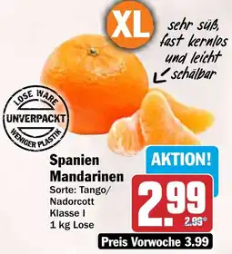 HIT Spanien Mandarinen Angebot