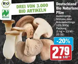 HIT Deutschland Bio Naturland Pilze Angebot