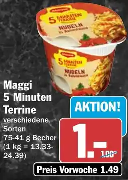 HIT Maggi 5 Minuten Terrine Angebot