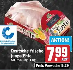 HIT Deutsche frische junge Ente Angebot