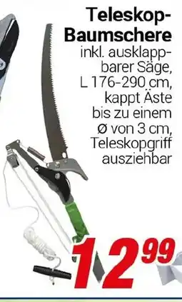 CENTERSHOP Teleskop- Baumschere Angebot