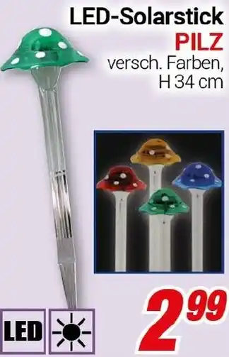 CENTERSHOP LED Solarstick PILZ Angebot