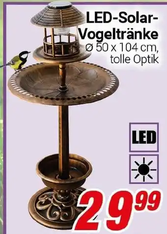 CENTERSHOP LED Solar Vogeltränke Angebot