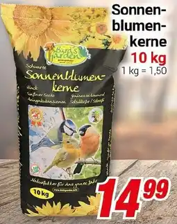 CENTERSHOP Sonnenblumenkerne Angebot