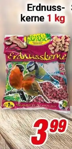 CENTERSHOP Erdnusskerne Angebot