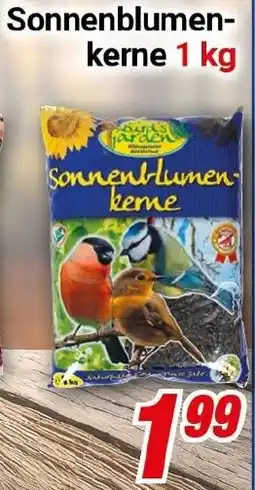 CENTERSHOP Sonnenblumenkerne Angebot