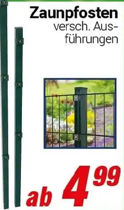 CENTERSHOP Zaunpfosten Angebot