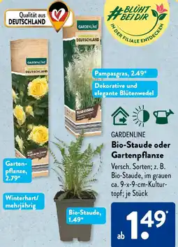 Aldi Süd GARDENLINE Bio-Staude oder Gartenpflanze Angebot