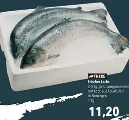 CITTI Markt Frischer Lachs Angebot