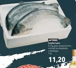 CITTI Markt Frischer Lachs Angebot