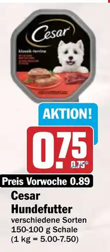 HIT Cesar Hundefutter Angebot