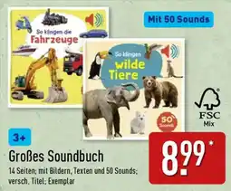 Aldi Nord Großes Soundbuch Angebot