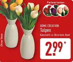 Aldi Nord HOME CREATION Tulpen Angebot