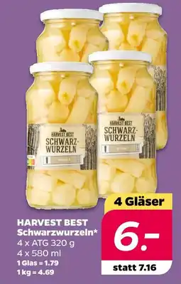 NETTO Harvest best schwarzwurzeln Angebot