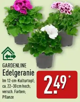 Aldi Nord GARDENLINE Edelgeranie Angebot