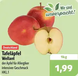 Aktiv Irma Tafeläpfel Wellant Angebot