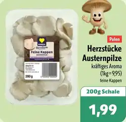Aktiv Irma Herzstücke Austernpilze Angebot